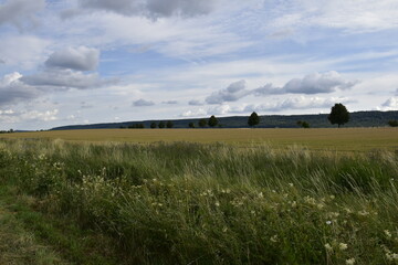 Natur und Ausblick zwischen Elze und Alfeld