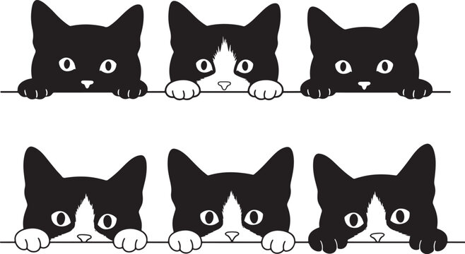 Six curious black and white cats peeking over edge silhouette
