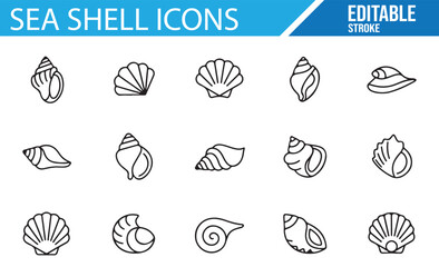 Coastal Icon Set Featuring Different Types of Shells for Designers