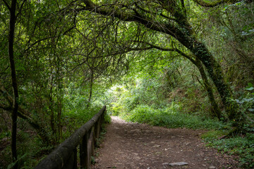 Fervenza do Toxa in Silleda, Galicia offers an unforgettable hiking experience with stunning views of one of Pontevedra&rsquo;s most beautiful waterfalls.