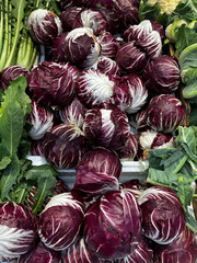 Fototapeta premium Crates full of Chioggia radicchio, displayed at a local market. A perfect image to illustrate the concepts of Italian agriculture.