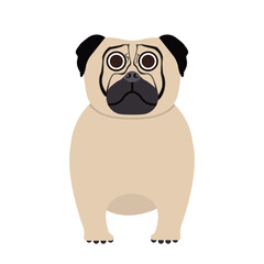 Pug Dog Vector Illustration