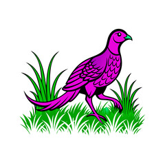 pheasant running through grass