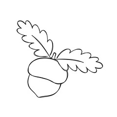 Black and white hand drawn acorn with oak leaves in doodle style