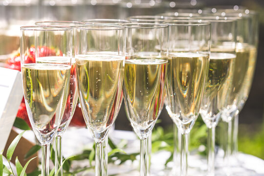 A row of elegant champagne flutes filled with sparkling wine, arranged for a celebration or formal event. The golden bubbles and bright reflections evoke a festive and luxurious atmosphere