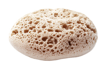 Body Sponge for Skin Exfoliation and Bathing - Isolated on White Background