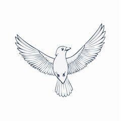 Obraz premium Graceful White Bird in Flight Wings Spread Wide Detailed Line Art Illustration