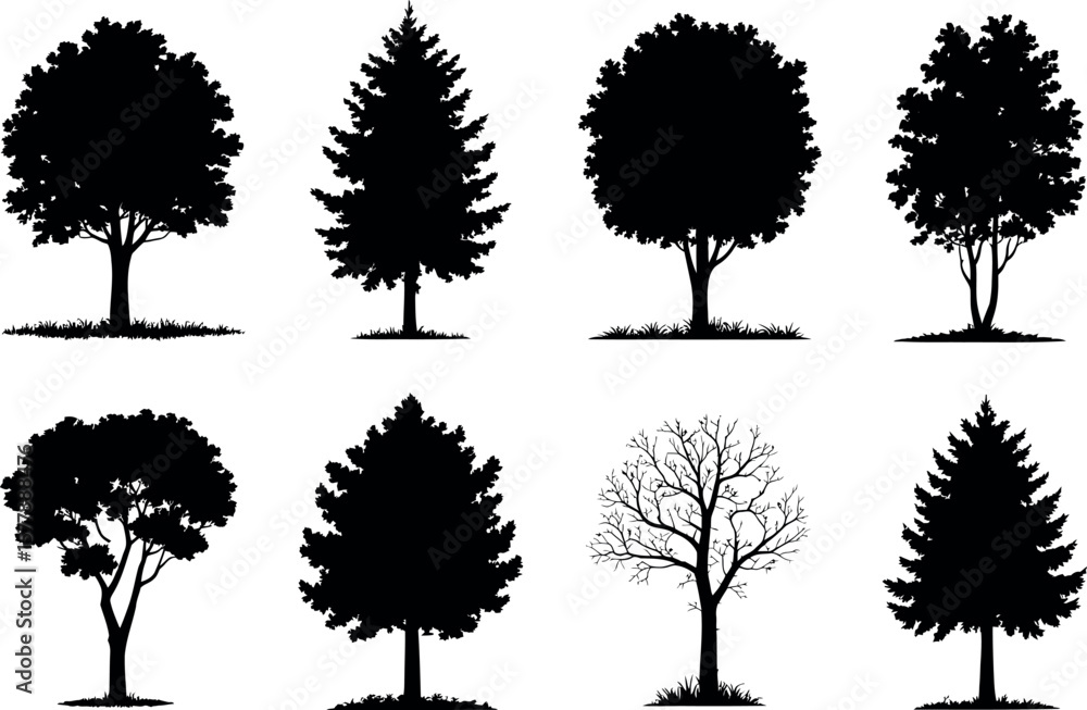 Poster seamless pattern of tree silhouettes on white background evergreen deciduous and bare trees for natu