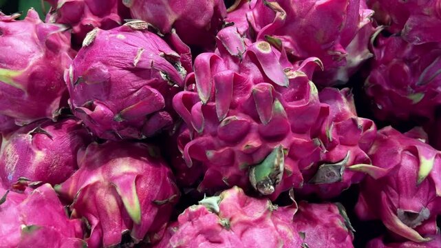 close up of dragon fruit 
