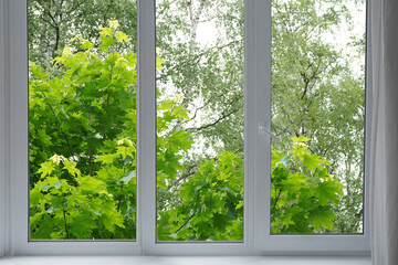 View from the window of a park with green trees.