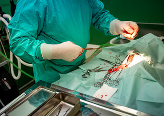 Veterinarian closing a surgical wound on a dog using sutures and instruments. Sensitive medical...