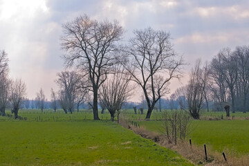  Meadow with bare poplar tree silhouettes against a colorful cloudy sky in Oude Kalevallei nature reserve, Ghent, Flanders, Belgium 
