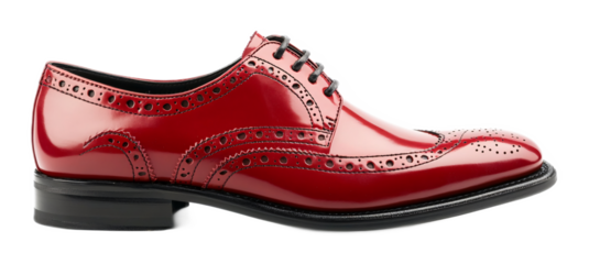 Brogues for Men's Formal Footwear - Isolated on White Background