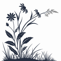 black and white wedelia