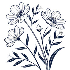 wedelia on white background 