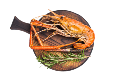 Juicy grilled giant river prawn shrimp served with rosemary, a mouthwatering dish for your next barbecue. isolated on white background. top view
