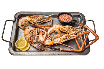 Deliciously grilled giant river prawns on steel tray, ideal for summer gatherings and outdoor...