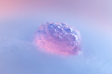 close-up of tumor organoid embedded in hydrogel droplet under microscope objective