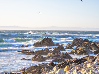 Waves crashing on rugged rocks as pelicans soar overhead