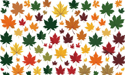 Scalable vector illustration featuring various types of leaves with color and silhouette, a set of colorful autumn leaves, easily editable.