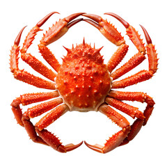 A vibrant orange king crab with prominent claws and legs, isolated on a transparent background