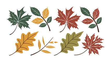 Scalable vector illustration featuring various types of leaves with color and silhouette, a set of colorful autumn leaves, easily editable.