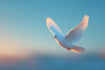 Fototapeta premium flying upward into blue sky with warm light symbolizing peace