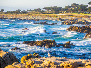 Waves crash on golden-lit rocks along the beginning of 17 Mile Drive