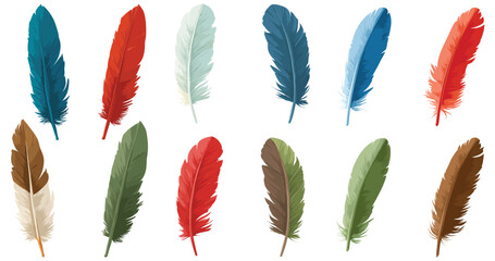 Collection of colorful bird feathers arranged vector illustration
