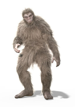 Pale Bigfoot