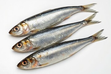 Fototapeta premium Three whole sardines on a white background, fresh fish 