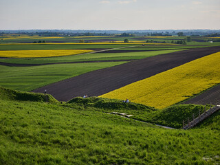 Fototapeta premium Ponidzie - Polska toskania. Wiosna na polach, rzepak. Kolorowe pola - szachownica. 