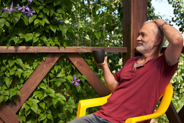 Summer cottage morning with a cup of coffee. A contented senior citizen sits on a wooden veranda, entwined with clematis bushes with blue flowers. He has a cup in his hand.