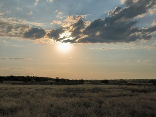 sunset over the field