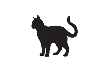 Silhouette of a Cat in Profile View
