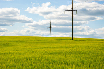 Expansive fields of vibrant green barley extend to the horizon, punctuated by utility poles against...