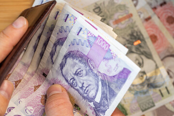 Czech Republic money. financial business concept. Czech banknotes taken out of wallet large...