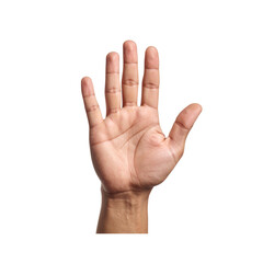 Open palm human hand skin tone isolated background gesture closeup anatomy fingers body part digital