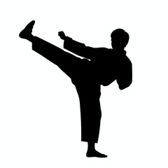 Silhouette of a martial artist performing a high kick in training  