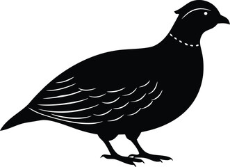 quail bird silhouette vector icon