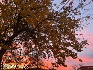 sunset in autumn