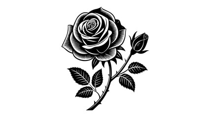 Obraz premium Line Art Rose and Bud in Engraved Tattoo Style – Vector Floral Illustration