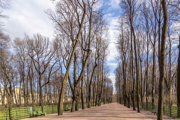 Sunlit alley in Summer Garden framed by leafless trees, wooden lattice benches, and a distant silhouette. Classic St. Petersburg spring. 