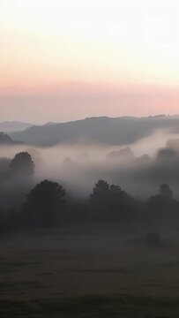 Misty Morning Landscape with Trees and Mountains