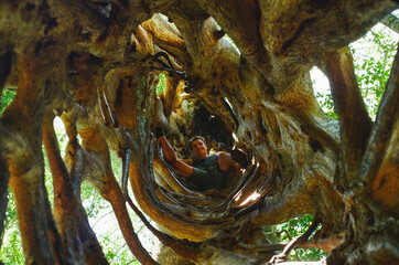 A young man looks down at the camera inside the hollow of a giant Ficus tree, surrounded by natural wood textures and foliage, creating a unique and serene moment of connection with nature. 35mm film