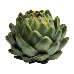Fototapeta premium A single fresh green artichoke with layered petals and a slightly pointed top isolated on transparent background