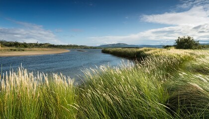 serene riverbank landscape with tall grasses gently swaying in breeze
