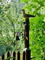 Garten im Sommer mit pfahl und Deko-Vogel