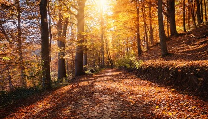 Fototapeta premium sunlit forest path through autumnal trees with colorful fallen leaves