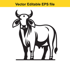 Illustration of a Brahman cow/ Zebu bull standing in a field, vector art